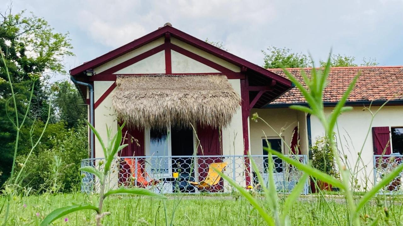 Metairie De Moutiques Villa Cazaubon Kültér fotó